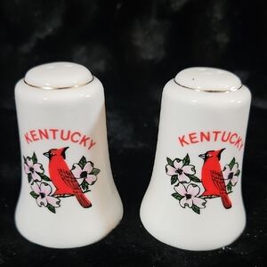 KENTUCKY SOUVENIR Red Cardinal Bird-Pink Dogwood Salt Pepper Shakers - White
